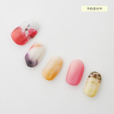 高評価！ 憧れの 値下げしました】nana7 スターター ジェル