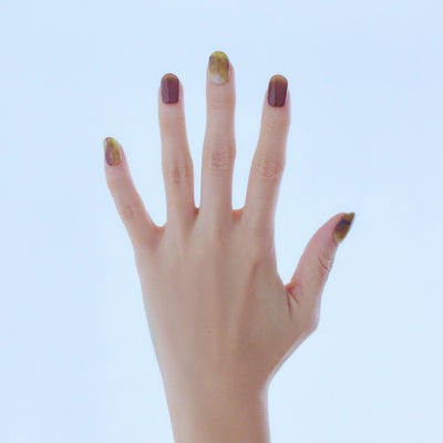 【限定販売】Regular Collection 3SET - 048+049+050