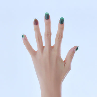 【限定販売】Regular Collection 3SET - 048+049+050