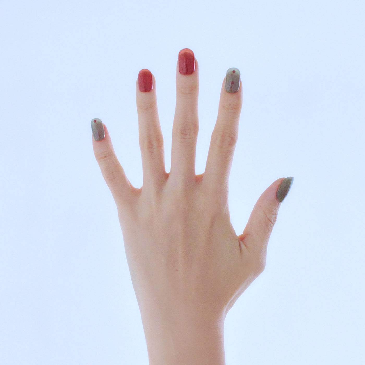 【限定販売】Regular Collection 3SET - 048+049+050