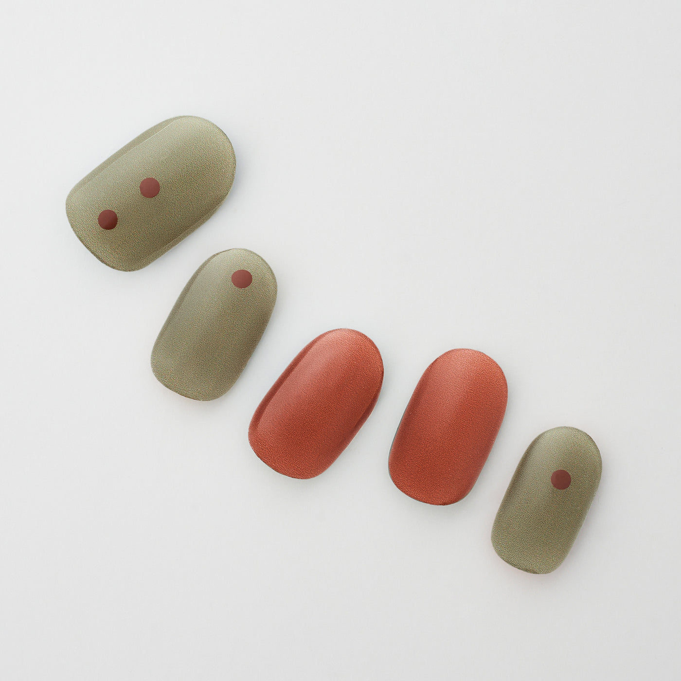 【限定販売】Regular Collection 6SET - 045+046+047+048+049+050